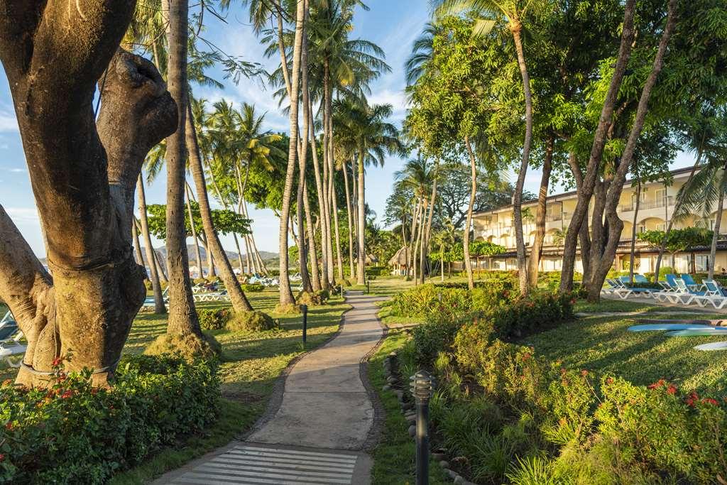 Hotel Tamarindo Diria Beach Resort Udogodnienia zdjęcie